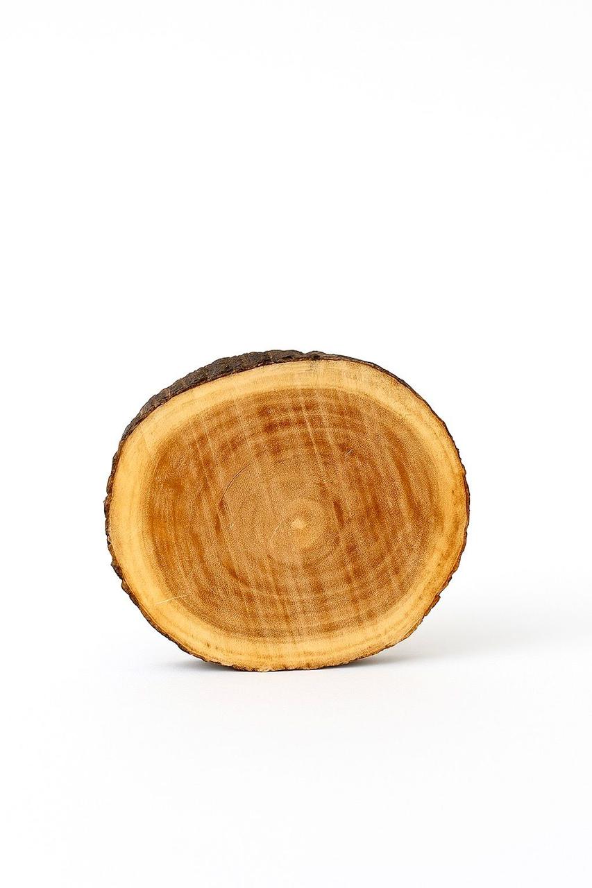 Woods party kit